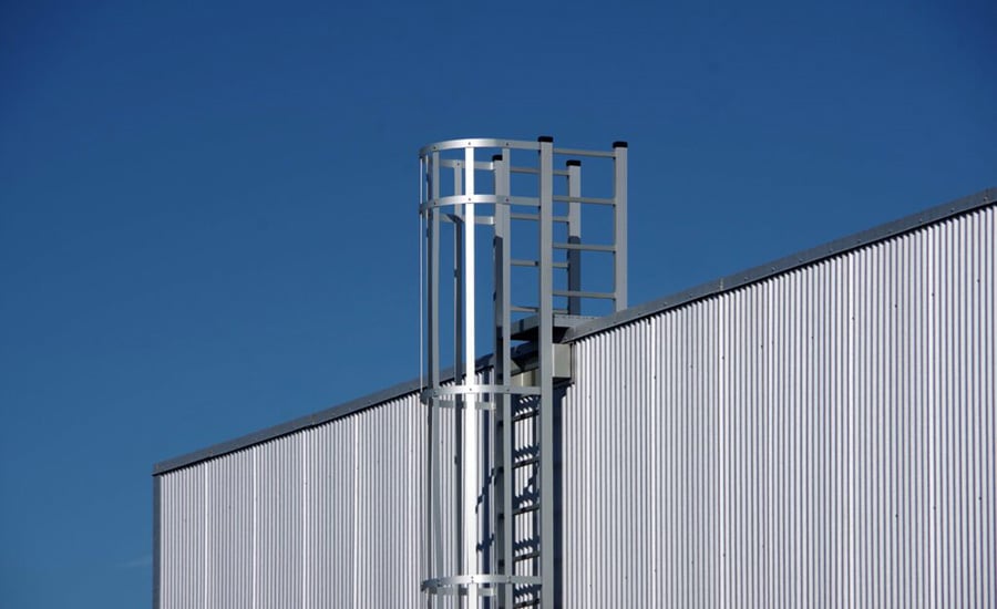 Fixed cage ladder