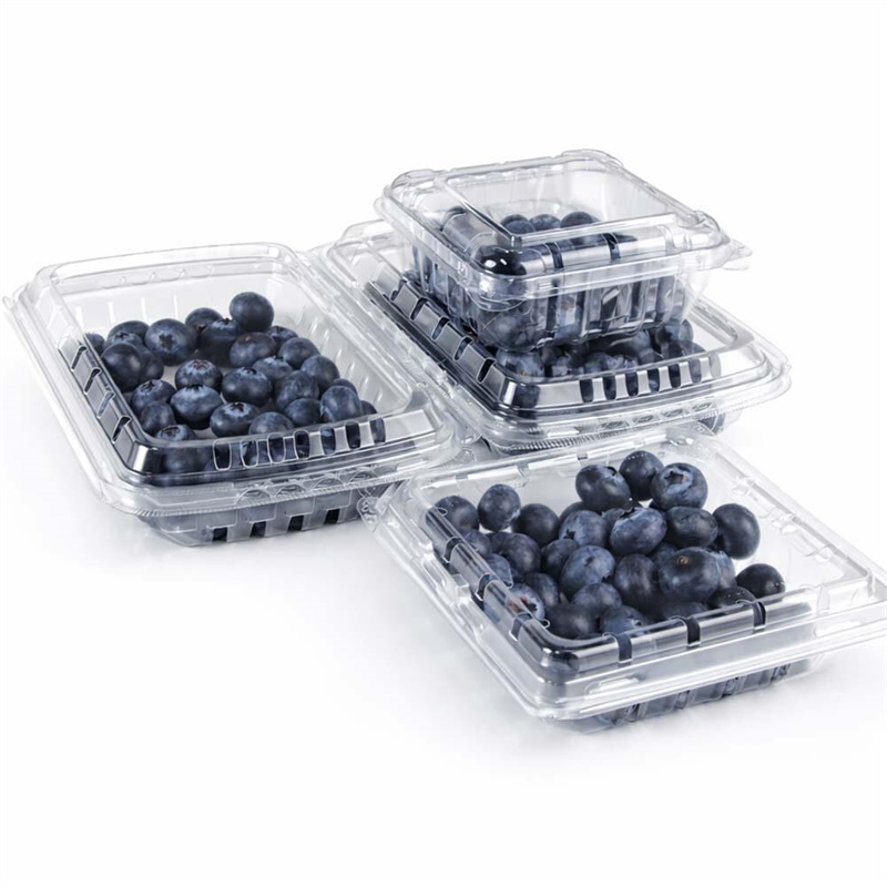 Compostable Food Packaging vs Biodegradable Packaging