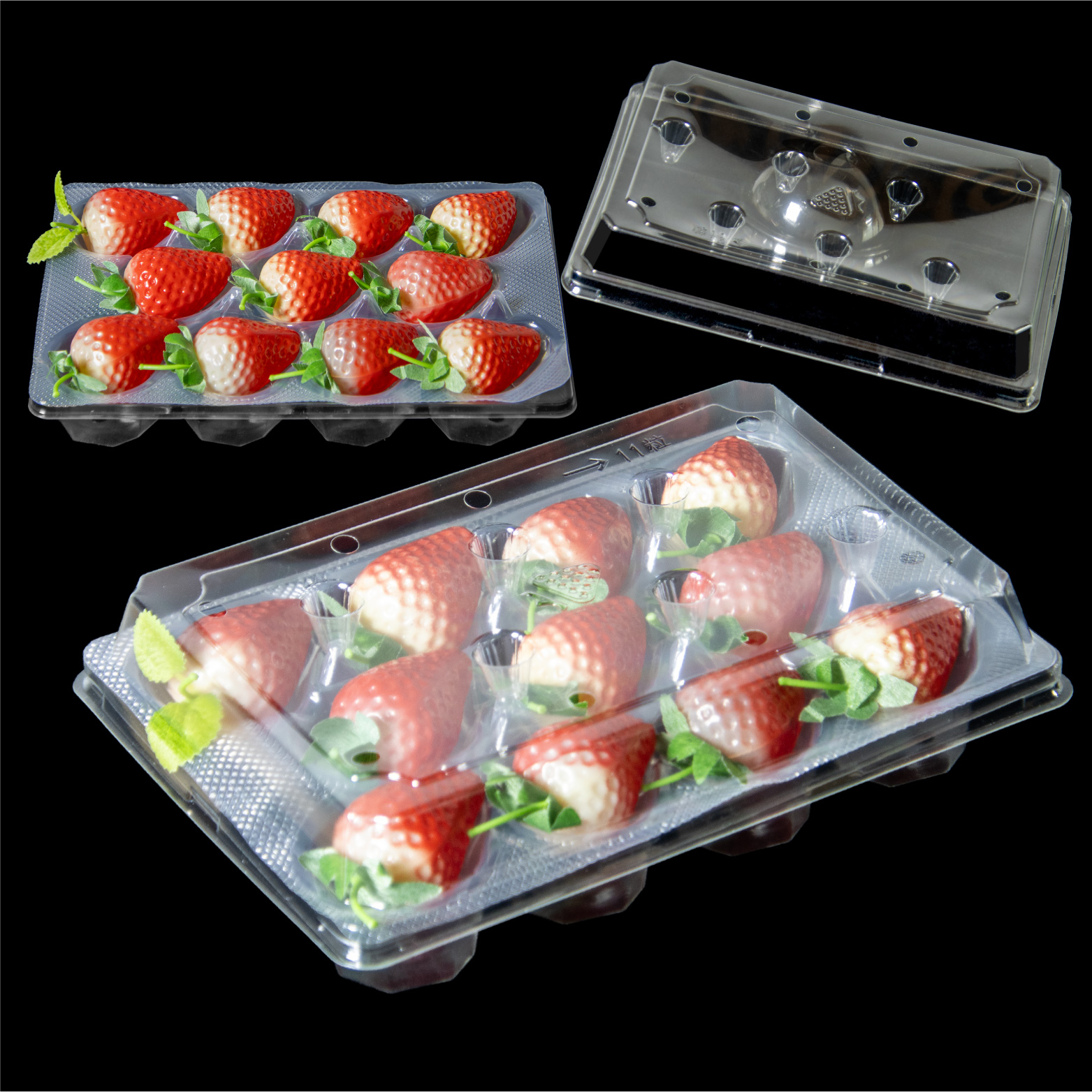 11 Cell Factory Wholesale Disposable Recyclable PET Strawberry Boxes