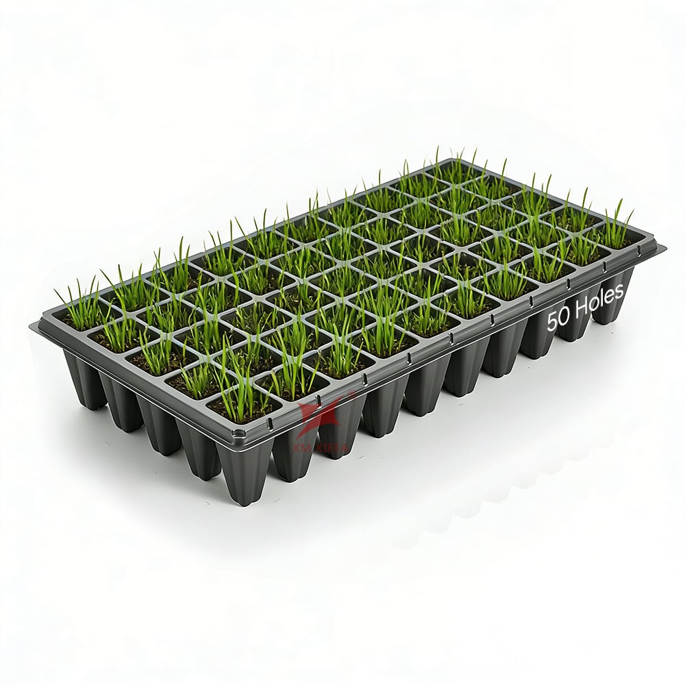 XM XIEFA Disposable PS Seedling Trays | Factory Direct Supply | One-Stop Packaging Solutions
