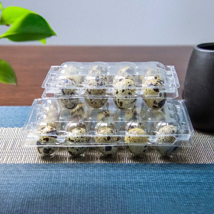 12 Hole Customized Wholesale PET Plastic Quail Egg Tray