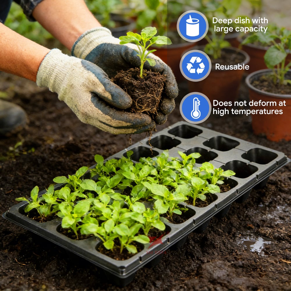Customizable and recyclable PS material seedling trays suitable for agricultural applications