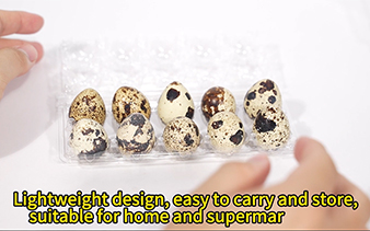 PET Quail Egg Box