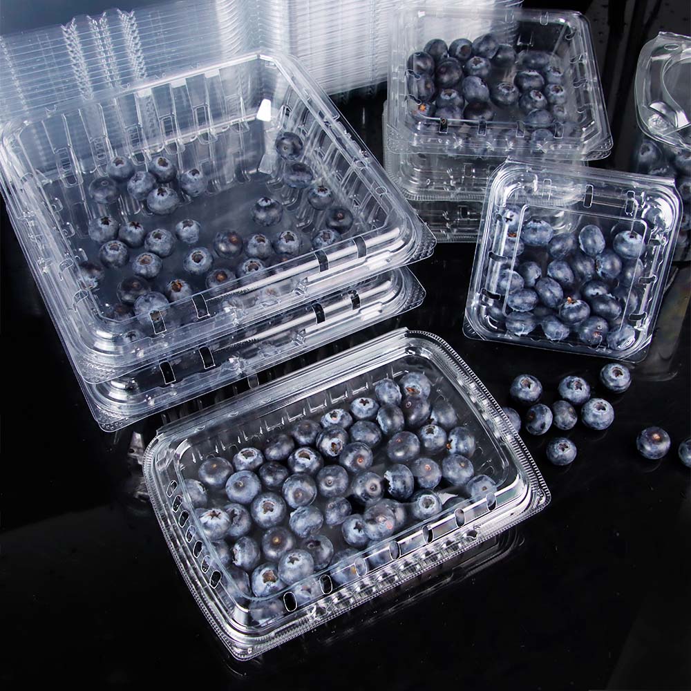 How XM XIEFA PET Blueberry Containers Solve Industry Pain Points in Global Fresh Packaging
