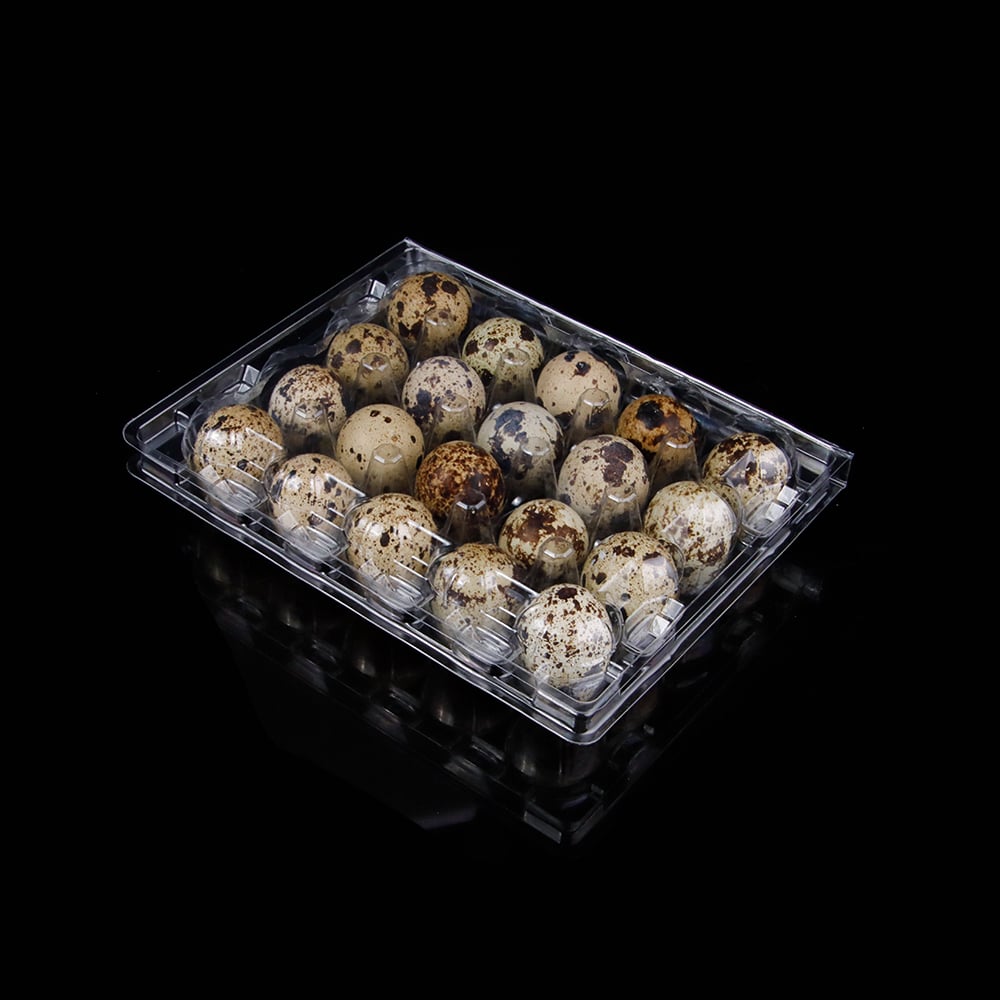 20 cell disposable clear RPET quail egg tray packaging container