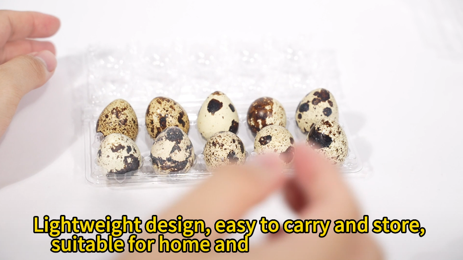 PET quail egg box