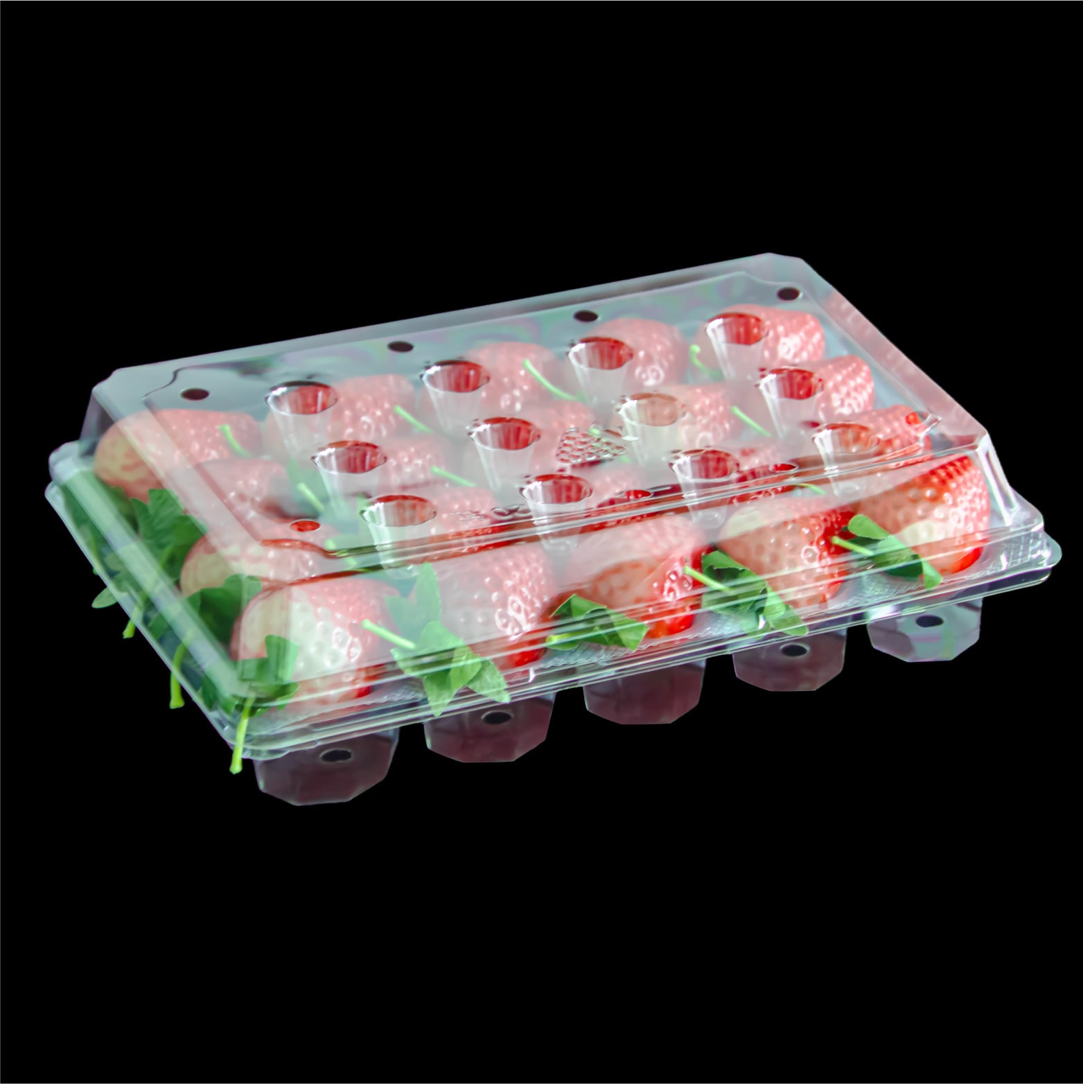 20 Cell Factory Wholesale Disposable Recyclable PET Strawberry Boxes
