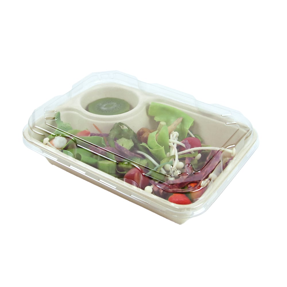 Bagasse food takeaway box with PET lid