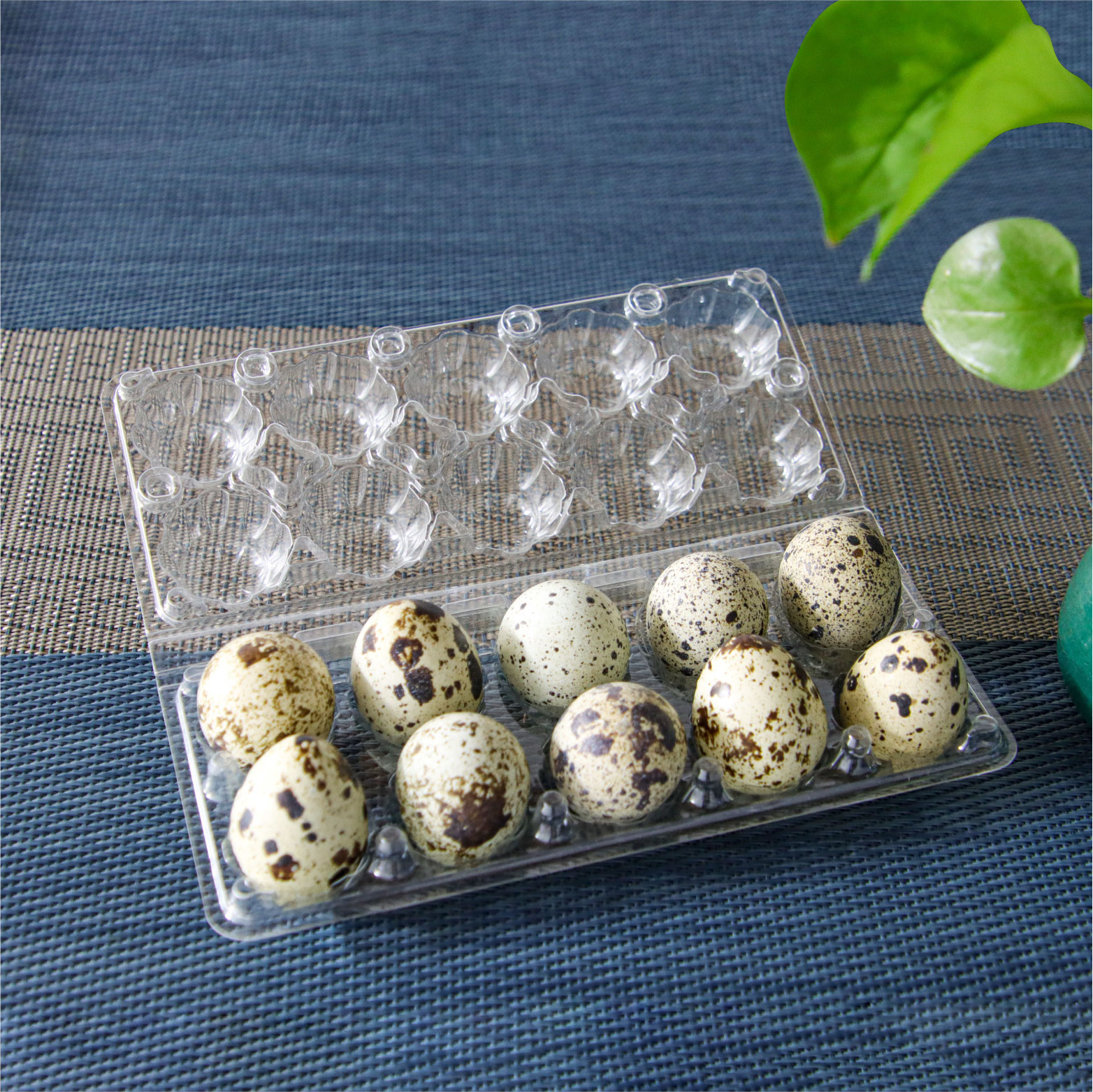 10 Hole Customized Wholesale PET Plastic Quail Egg Tray