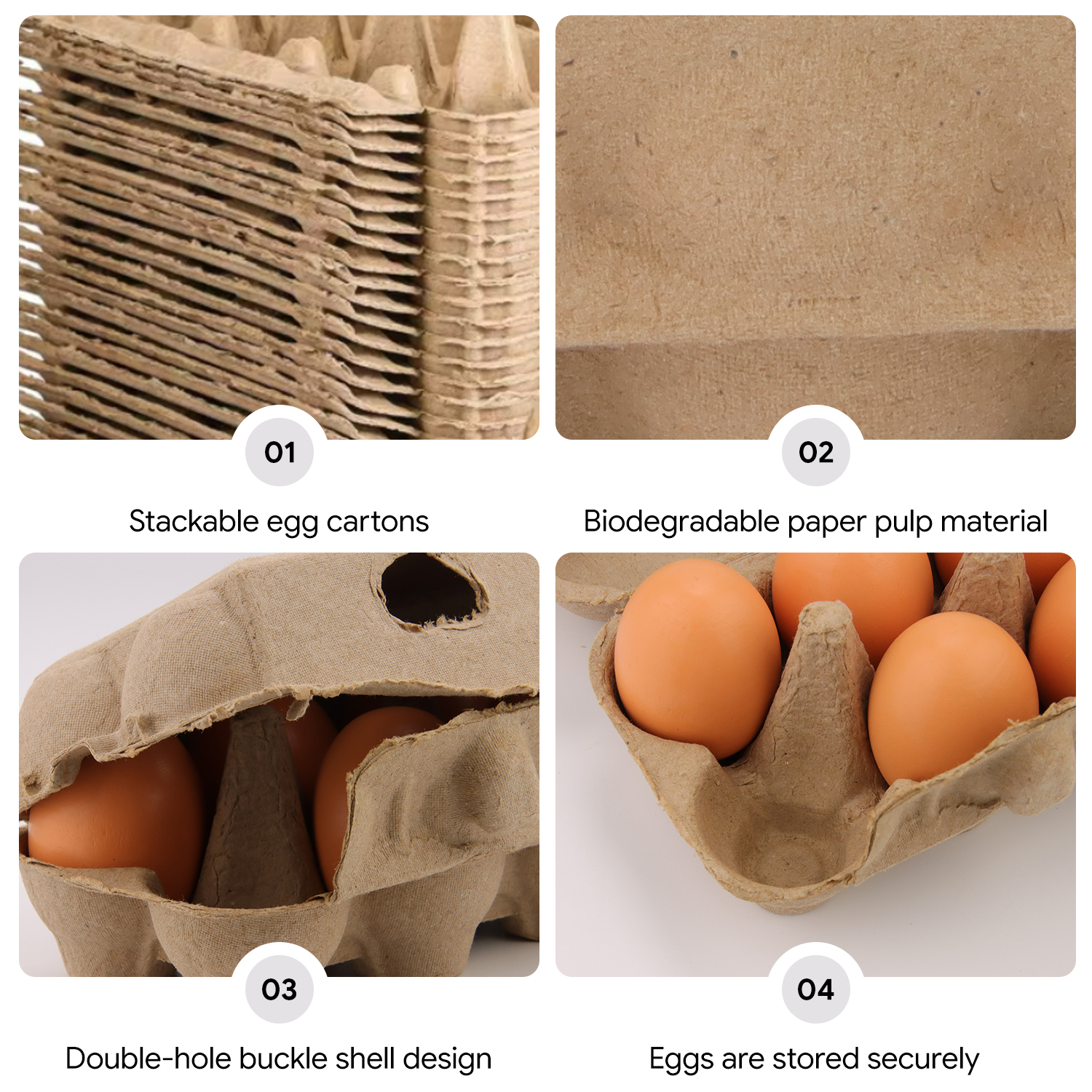 Paper Pulp Egg Carton_5.jpg