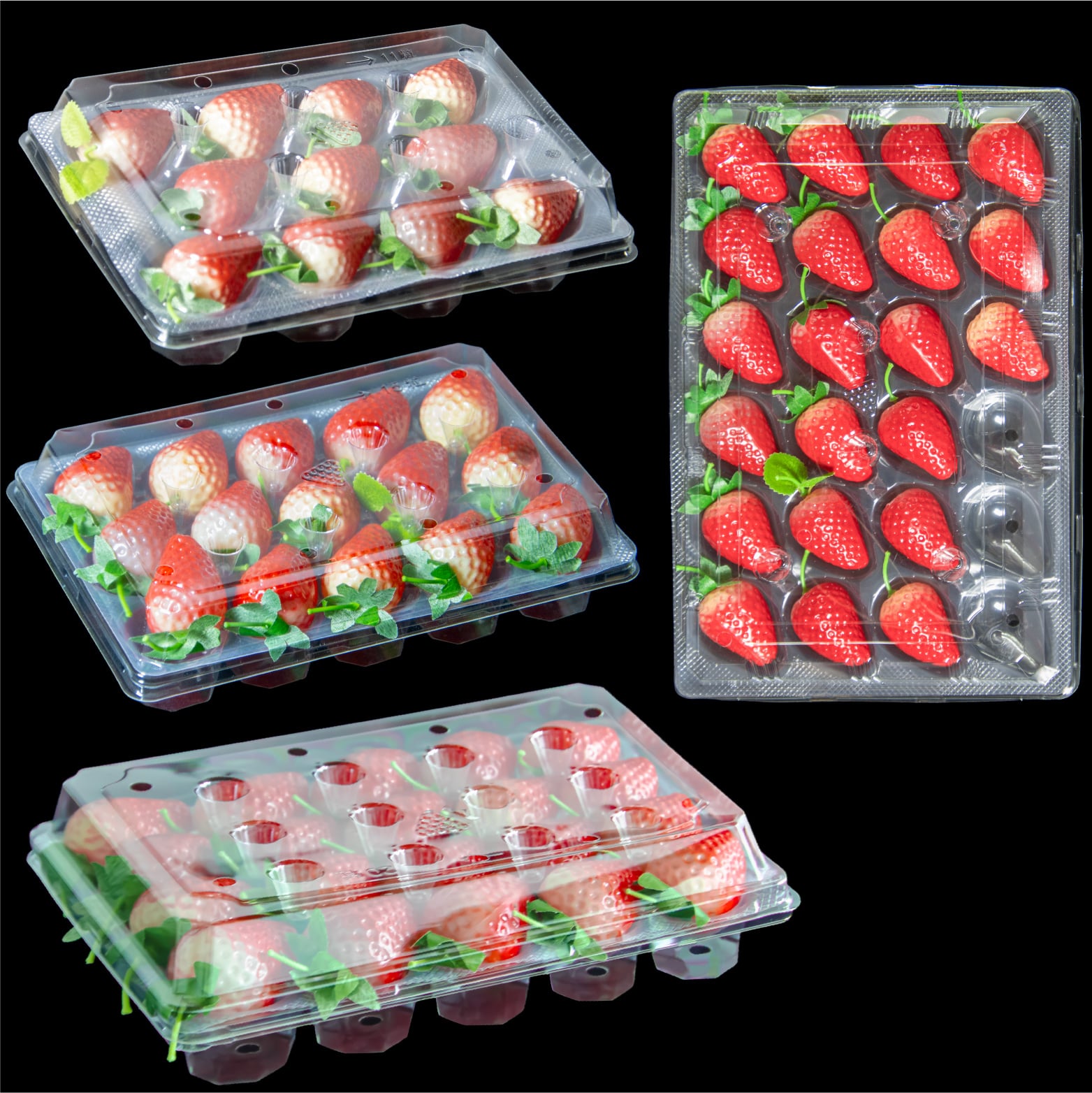 Customized disposable recyclable PET strawberry box