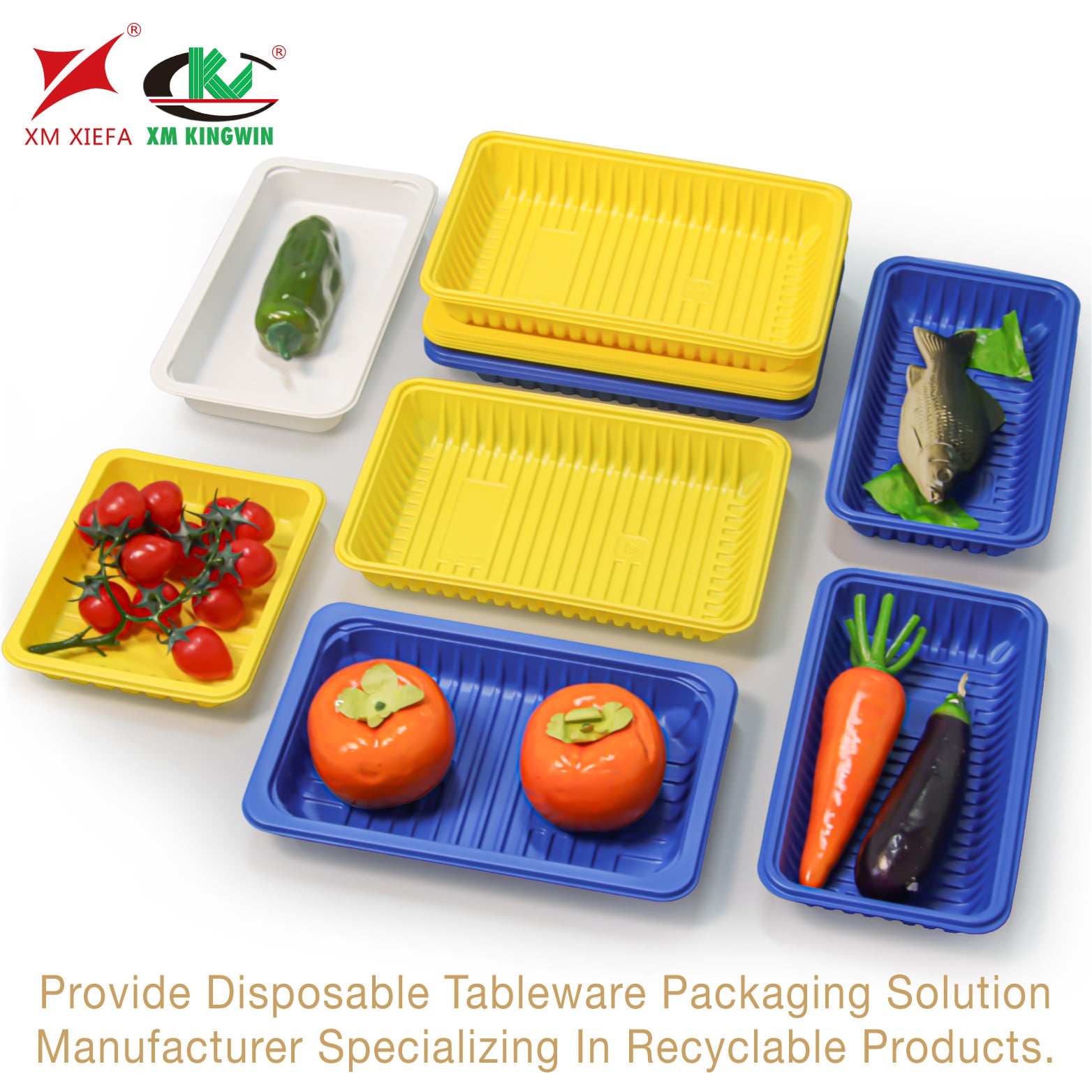 Wholesale Recyclable PP Meat Tray Food Packaging Container