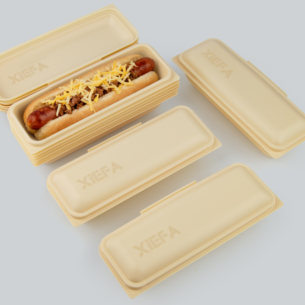 Disposable PP Clamshell Food Containers with Secure Buckle | Takeout & Delivery Packaging