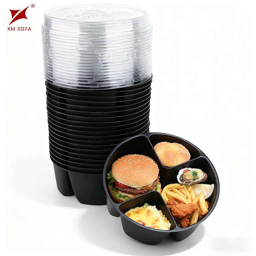 Durable PP Food Containers with Clear PET Lids – Factory Direct, Customizable Takeaway Packaging Solutions
