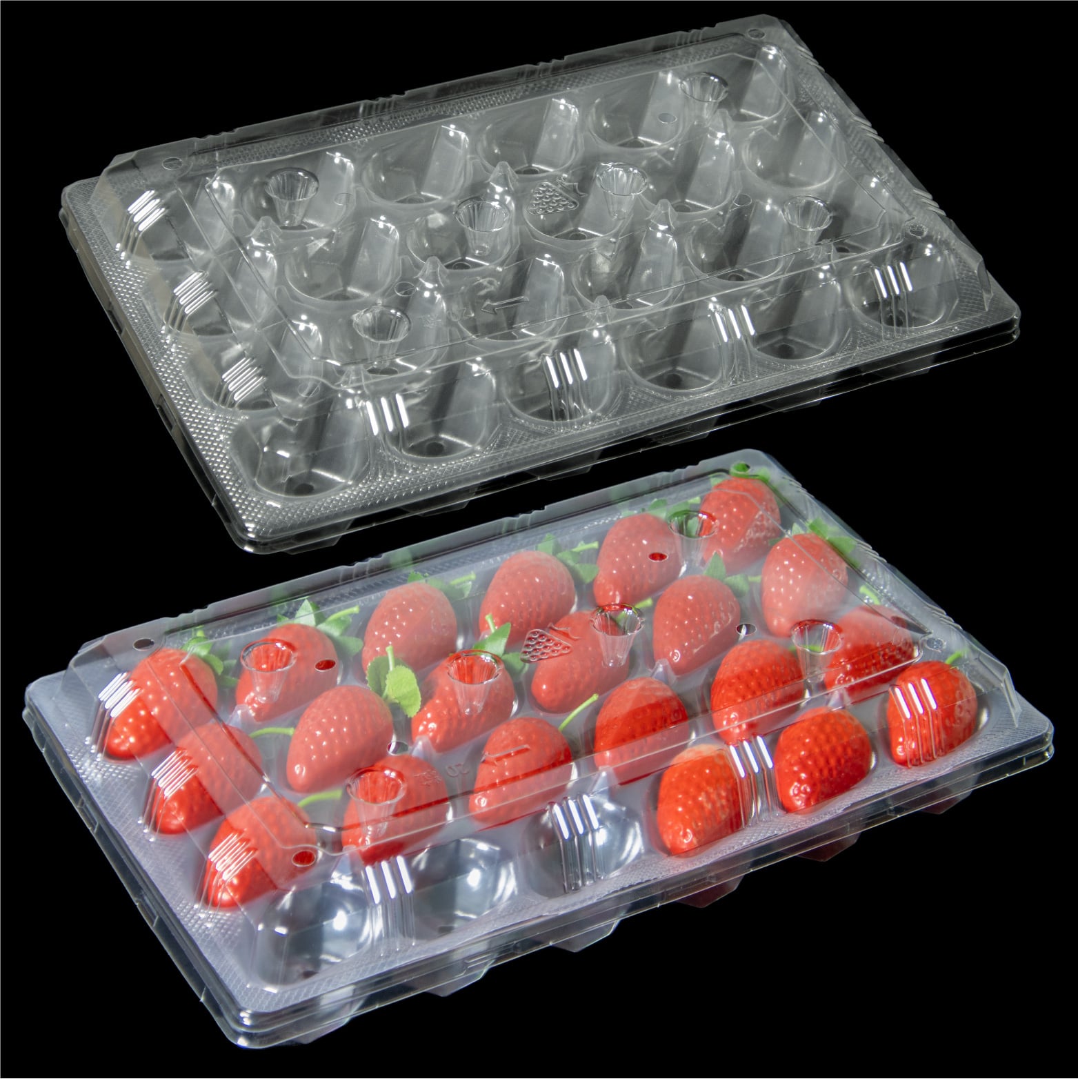 24 Cell Factory Wholesale Disposable Recyclable PET Strawberry Boxes