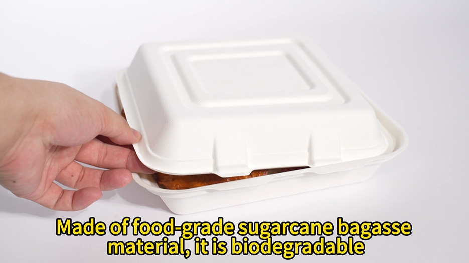 bagasse food box