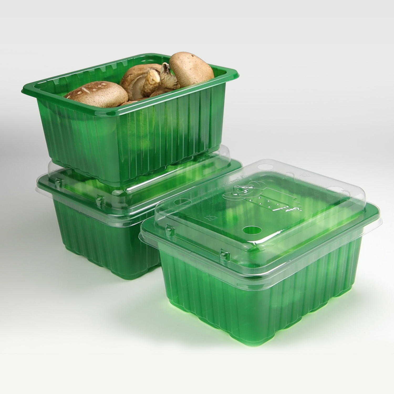 Eco-Friendly RPET Food Storage Box | Reusable Airtight Container with Ventilation & Buckle Lid