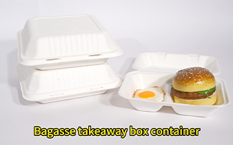 Bagasse takeaway box food container