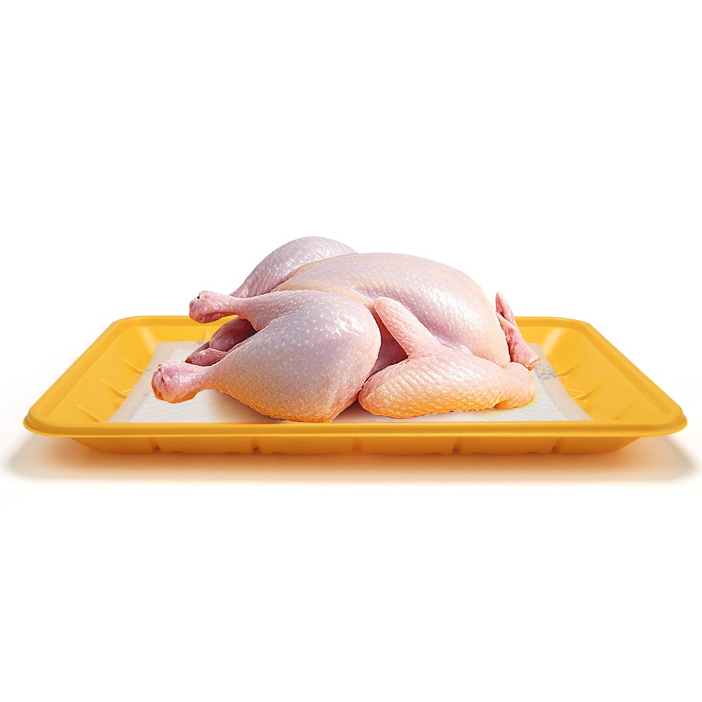 Wholesale Disposable Food PP Tray Containers