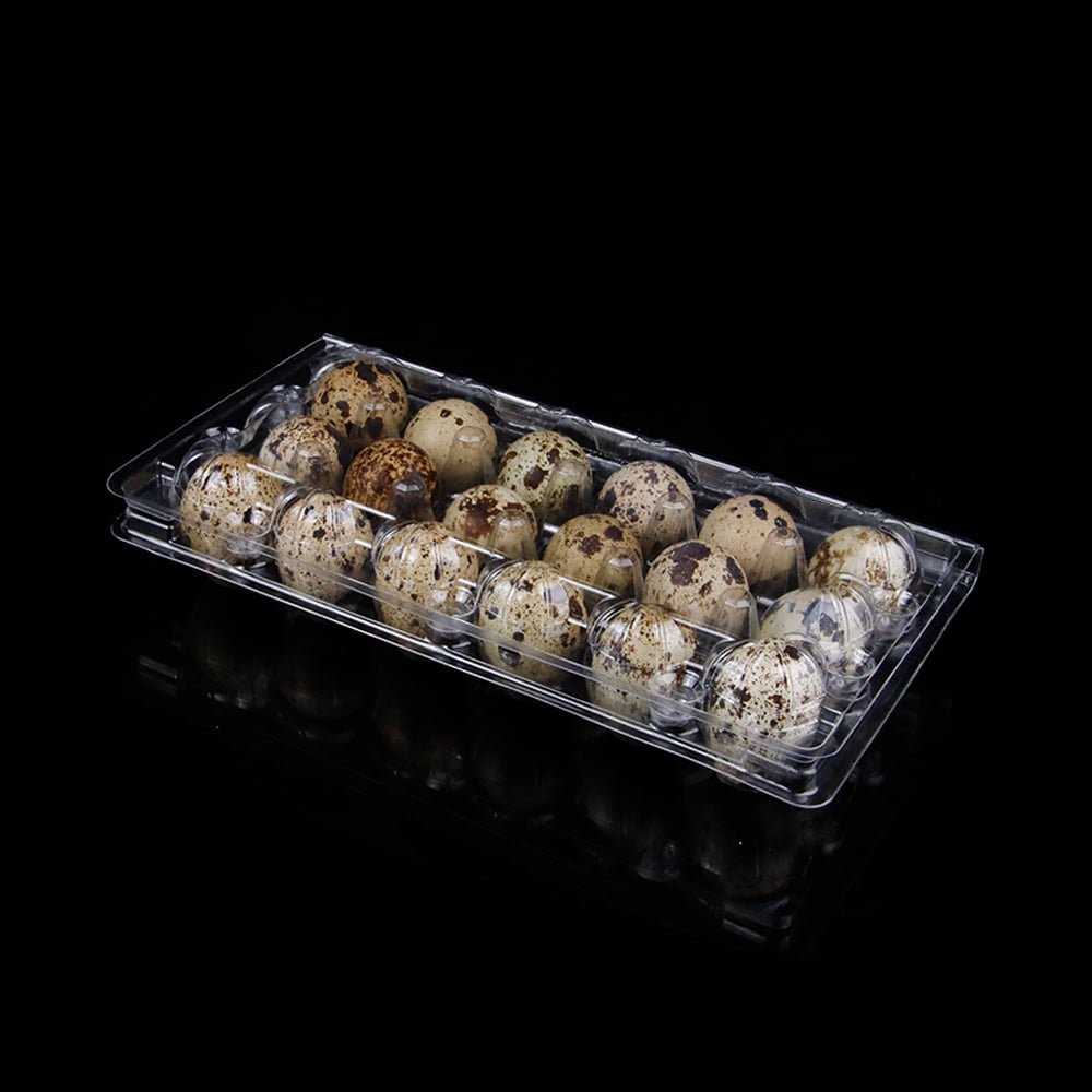 18 cell disposable clear RPET quail egg tray packaging container