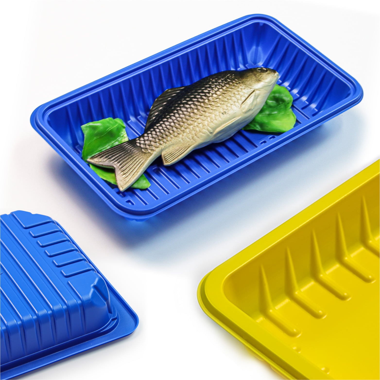 Recyclable custom blue PP food tray