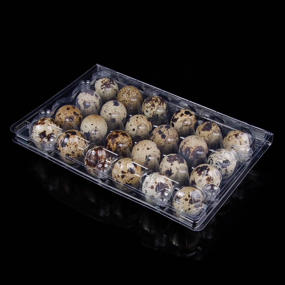 24 cell disposable clear RPET quail egg tray packaging container