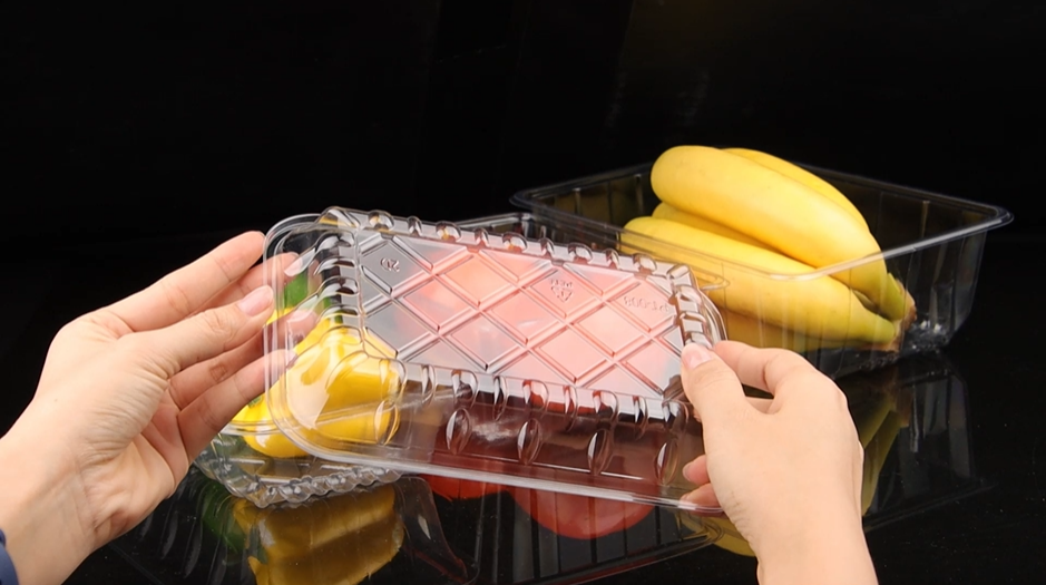 PET Plastic Fruit Tray