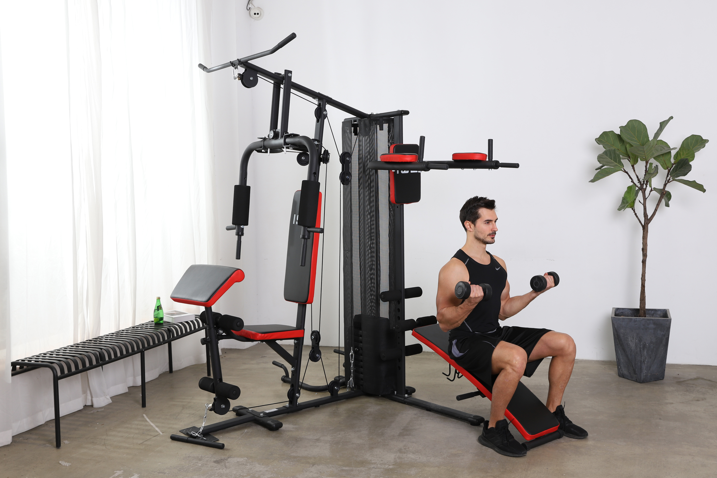 Traxectoria Natural Ergonómica