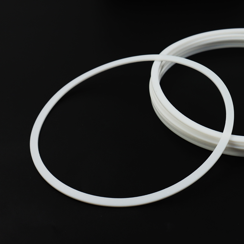 TFG/TFP Bearing Gaskets Back-up rings