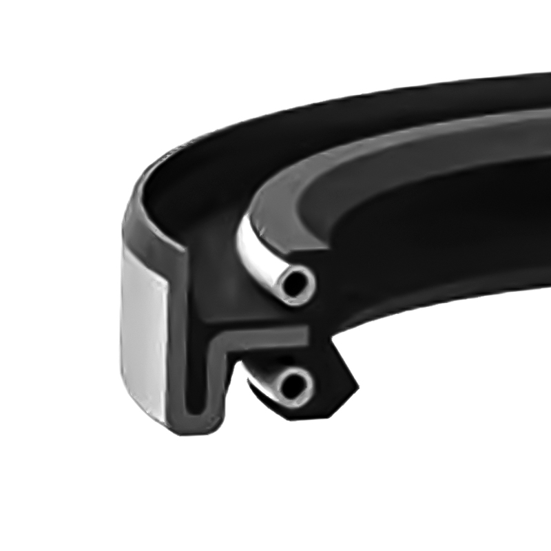 DB/AW Type Oil Seal