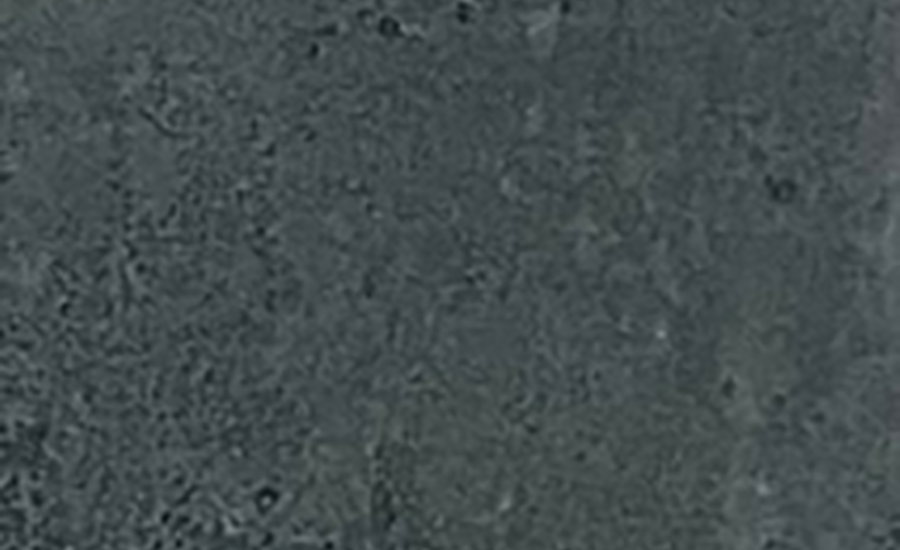 YD805
