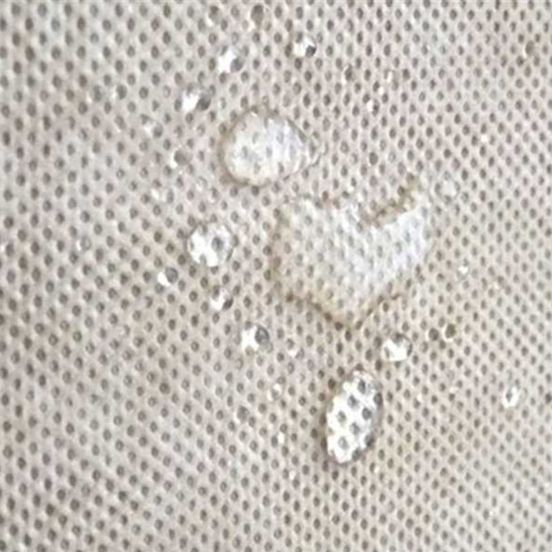 Waterproof breathable membrane