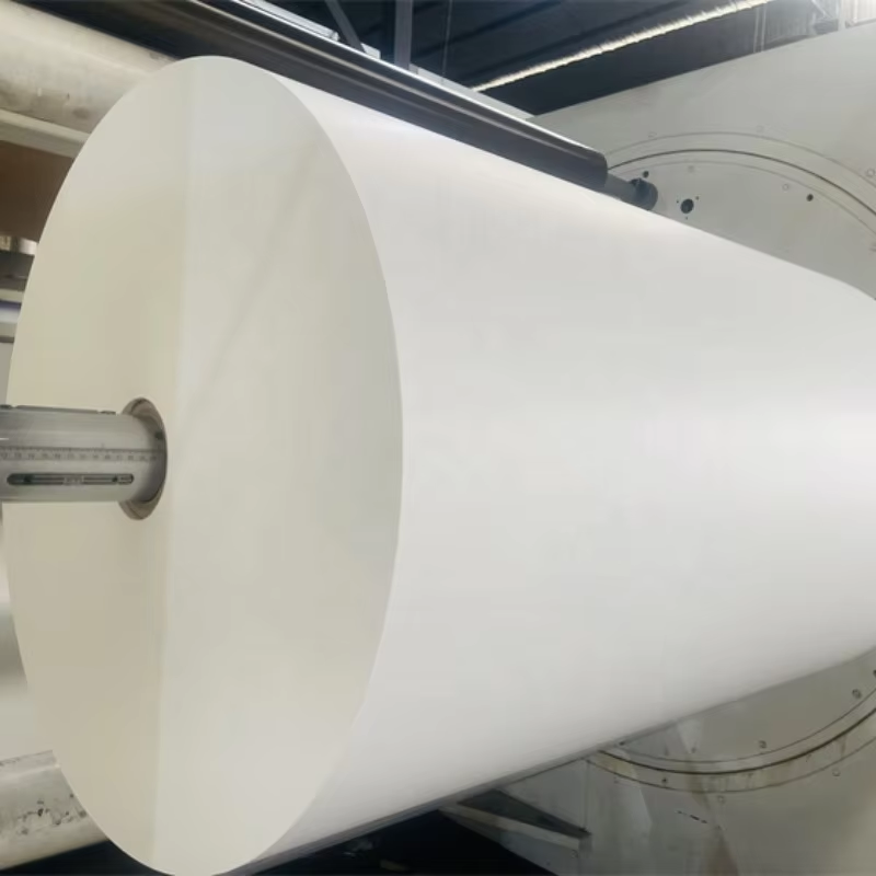 What Is PE Coated Paper Roll Used For