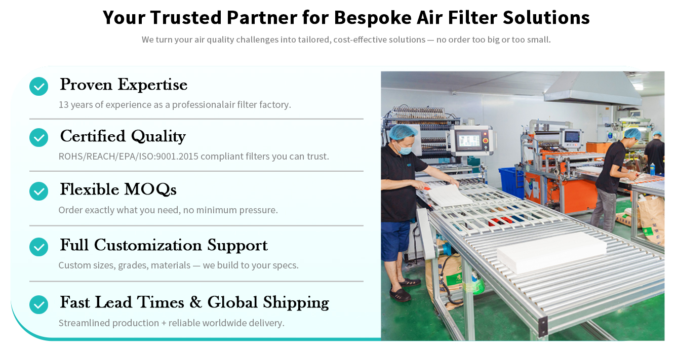 Air Purifier Filter, Hepa Filter, Filter Cartridge Supplier - Walson