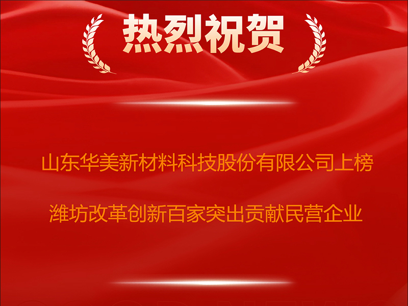 Has been listed among the top 100 private enterprises