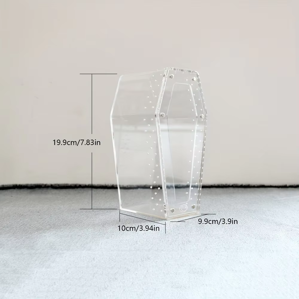 product acrylic jumping spider habitat versatile reptile enclosure transparent insect terrarium habitat for spiders tarantula gecko-2