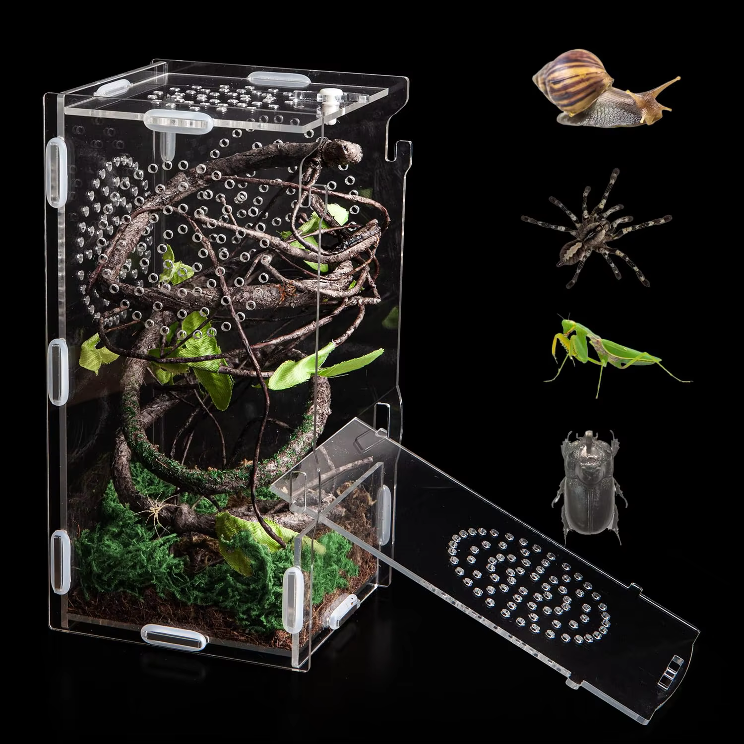 product jumping spider enclosure acrylic praying mantis habitat insect terrarium small reptile cage accessories with secure lock-0