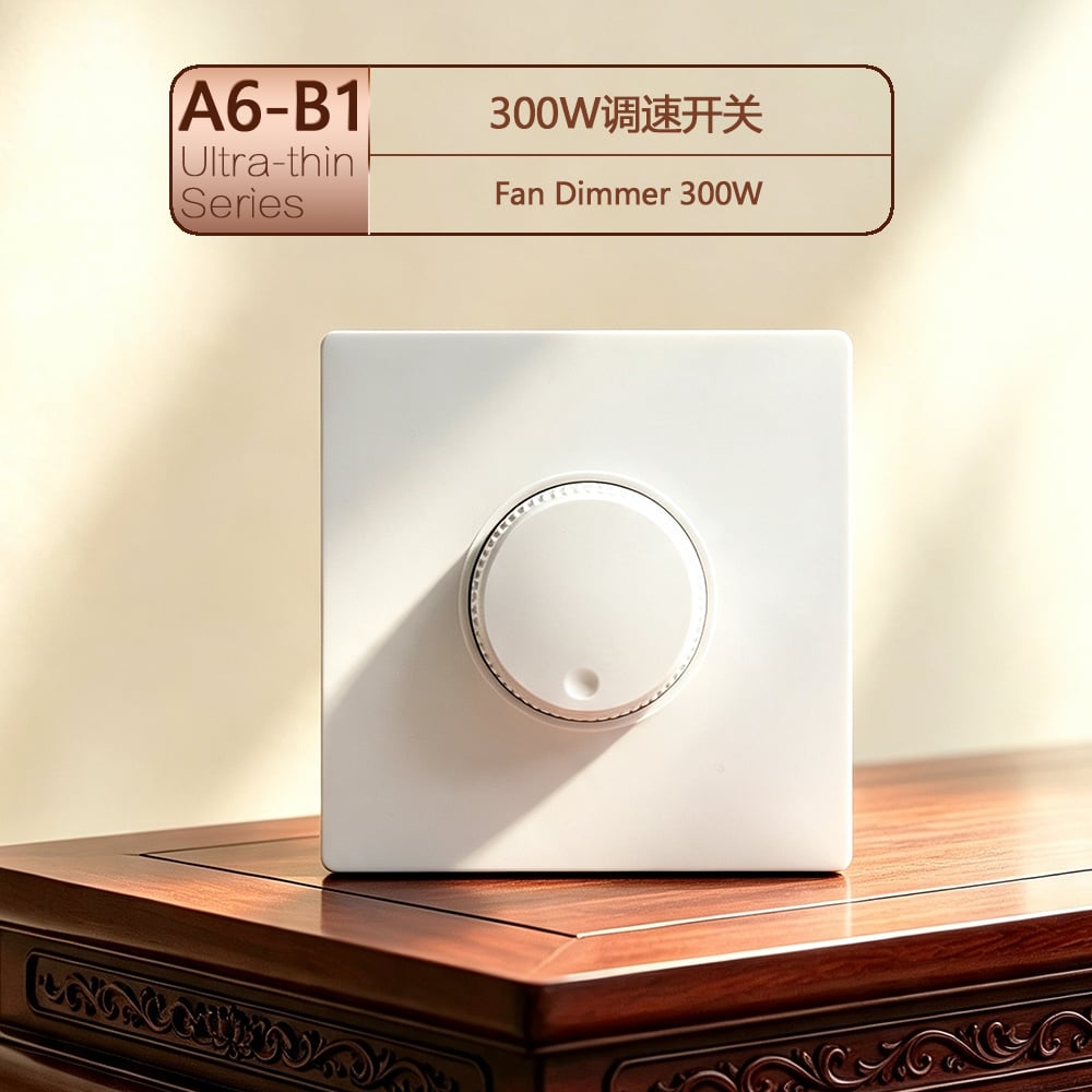 Διαβαθμιστής φωτός B1 300W