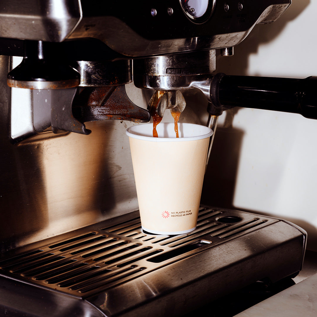 Where to Source Sustainable Disposable Cups for Eco-Conscious Customers