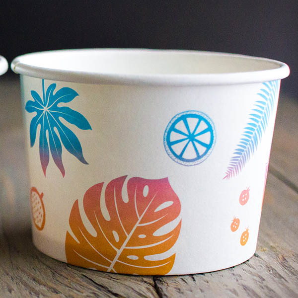 Where to Buy High-Quality Disposable Soup Cups in Bulk