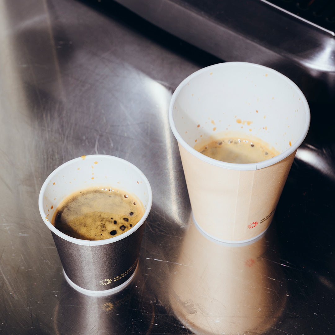 How to Properly Dispose of Disposable Paper Cups to Reduce Waste