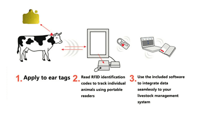 animal automatic identification solution-1