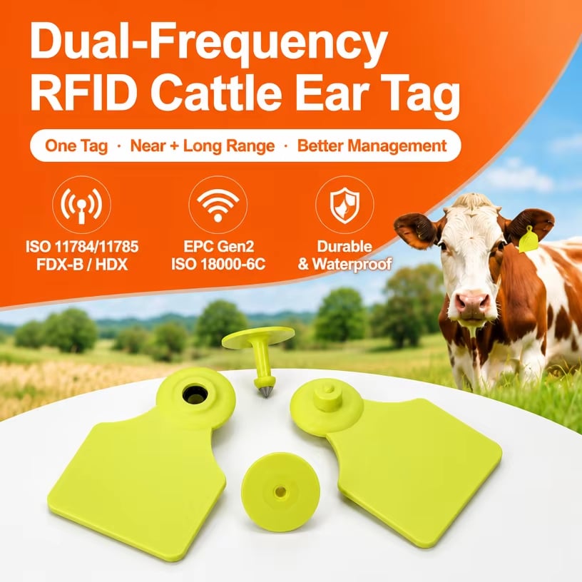 Dubbele-frequentie RFID-oorlabels LF+UHF EM4305 UCODE9 FDX-B-protocol RFID-labels voor identificatie van rundvee