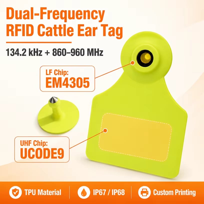 Dubbele-frequentie RFID-oorlabels LF+UHF EM4305 UCODE9 FDX-B-protocol RFID-labels voor identificatie van rundvee