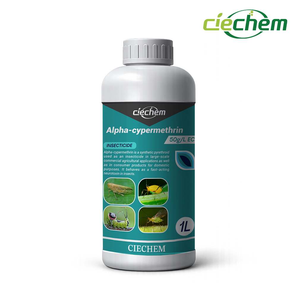 سعر المصنع Alpha-cypermethrin 50g/L EC، alphacypermethrin 5% ec