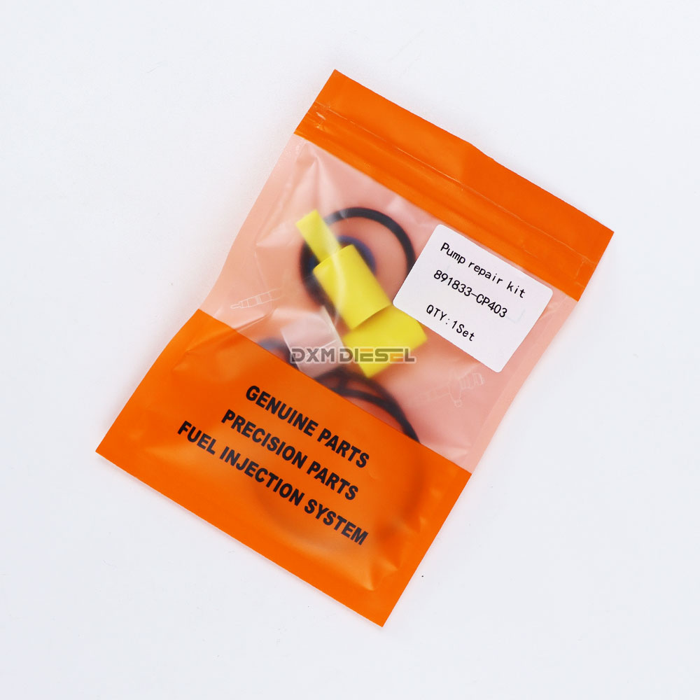 high quality Good price CP4 pump repair kis details