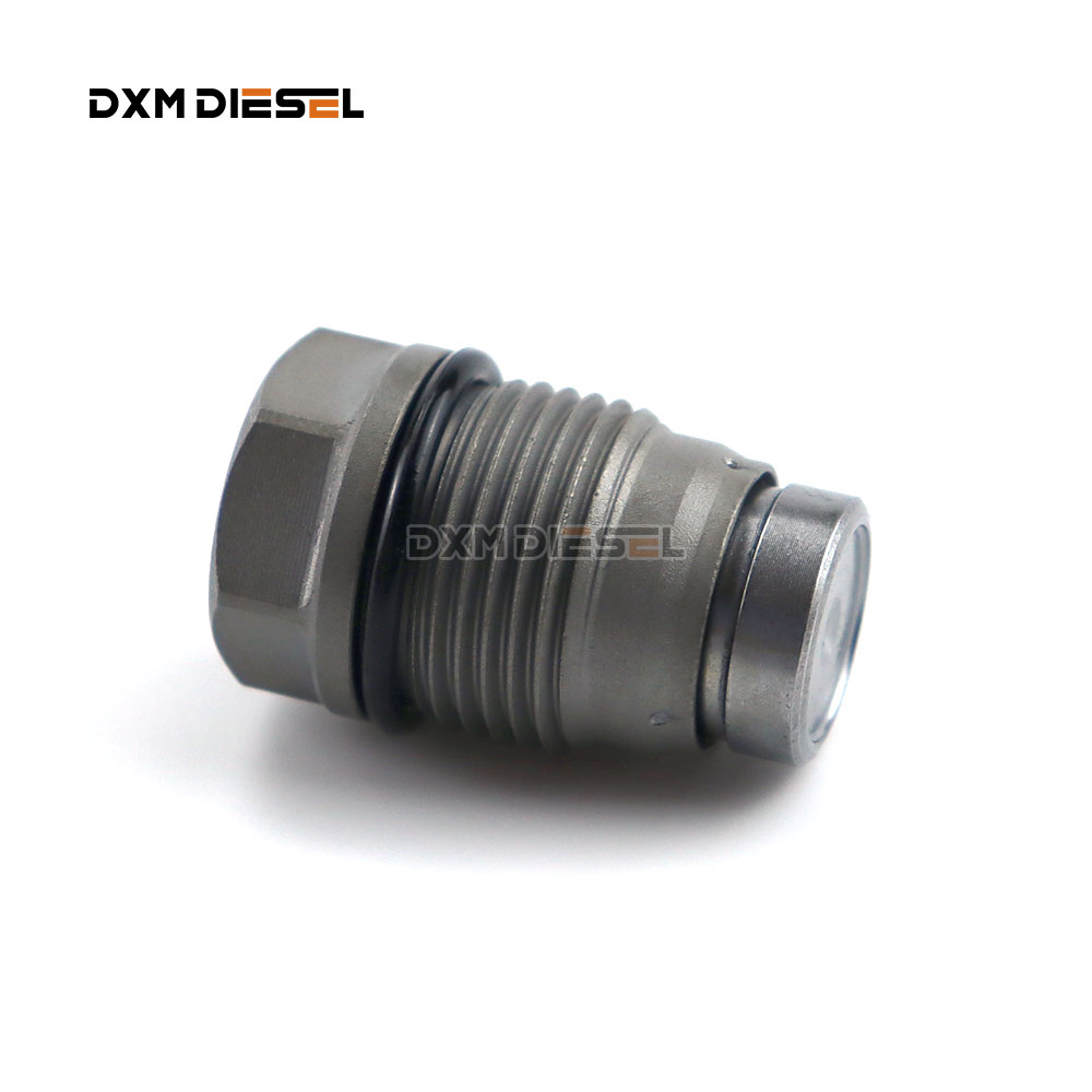 RELIEF VALVE 1110010028 factory
