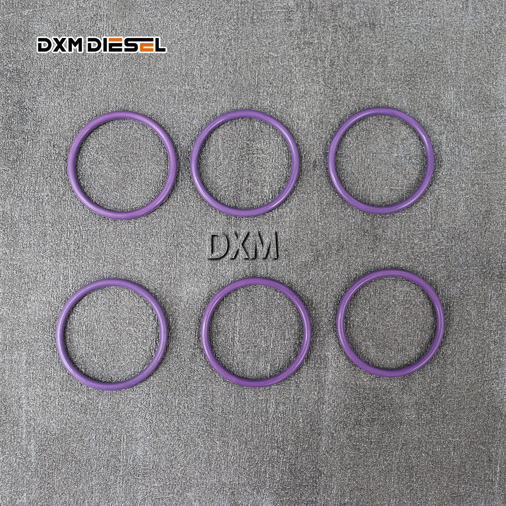 DXM 800644 Repair Kits 800691 800692 800655 800859 800644 for Fuel Injector Pump Gasket Kit 2417010003