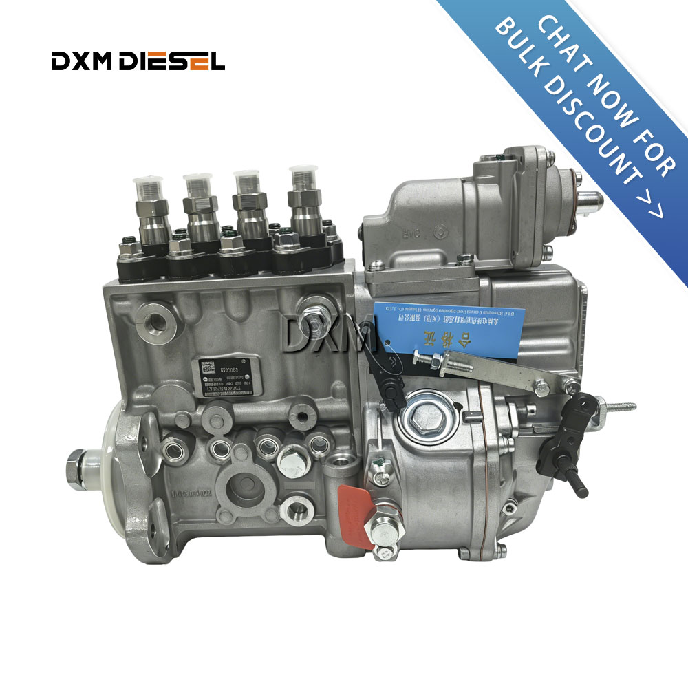 DXM 5261582 Fuel Injection Pump 10404534004 5261582 for B125-33 Engines