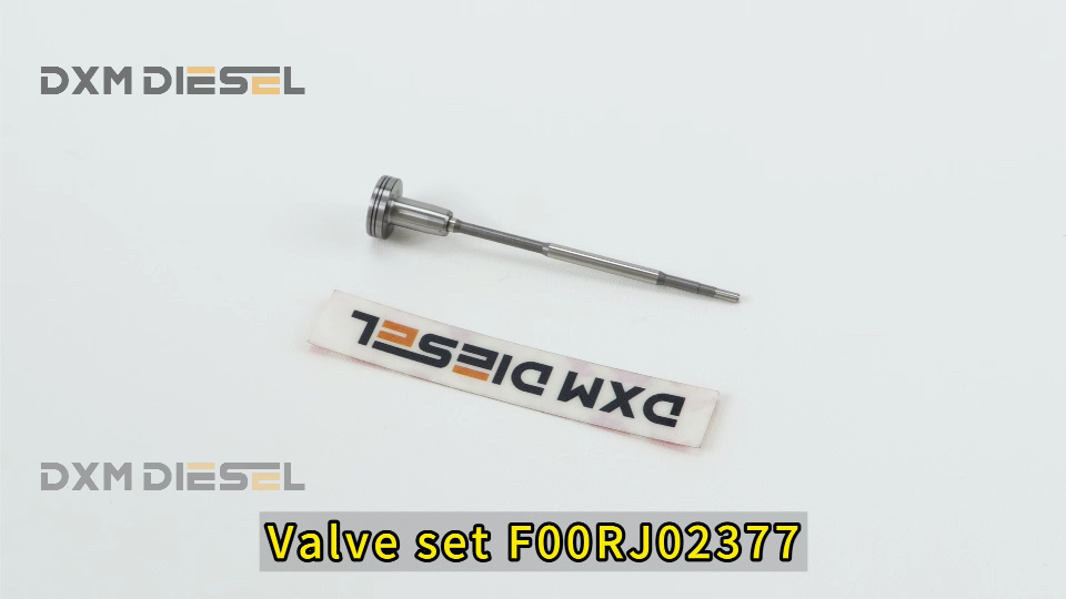 Set katup F00RJ02377